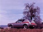 AMC Gremlin 2-Door Sedan Pkg.X 1971 года